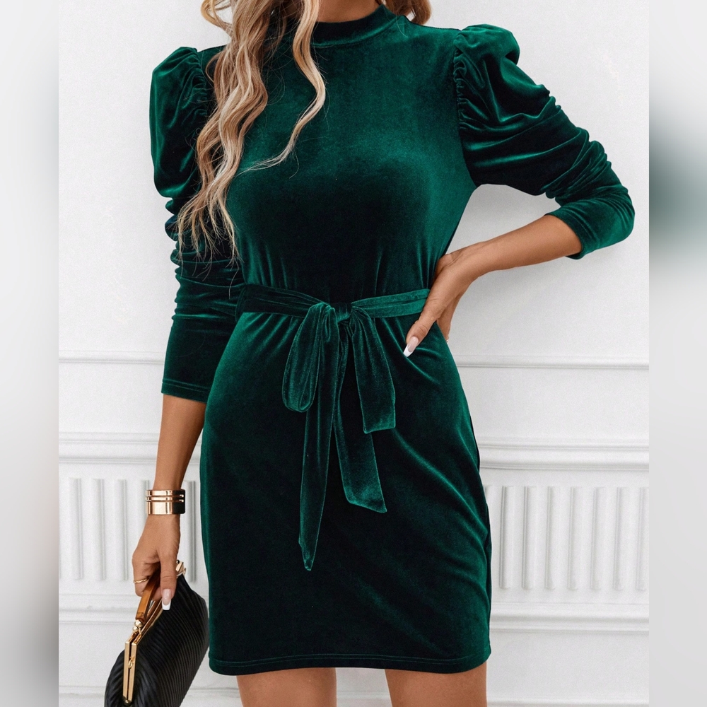 Mock Neck Puff Sleeve Belted Velvet Dress - Picture 4 of 5